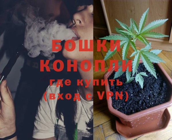 ПСИЛОЦИБИНОВЫЕ ГРИБЫ Балабаново