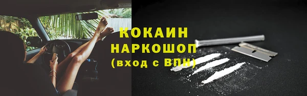гидра Аркадак