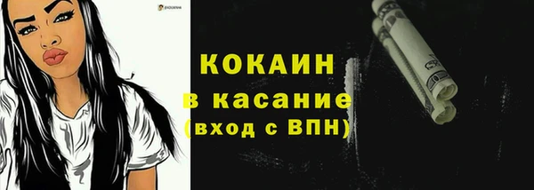 гидра Аркадак
