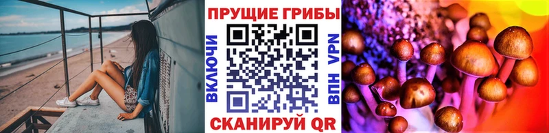 Псилоцибиновые грибы Psilocybe  Павловск 